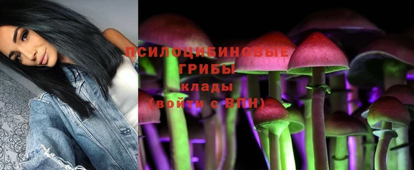 сатива Алексин