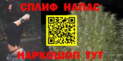 прущие грибы Ставрополь