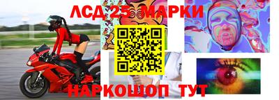 прущие грибы Ставрополь