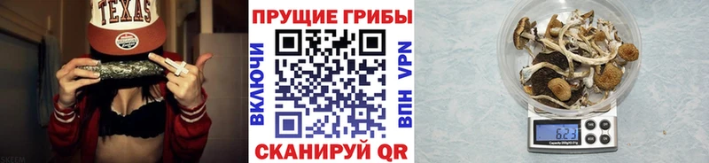 Галлюциногенные грибы мухоморы  продажа наркотиков  Ростов-на-Дону 