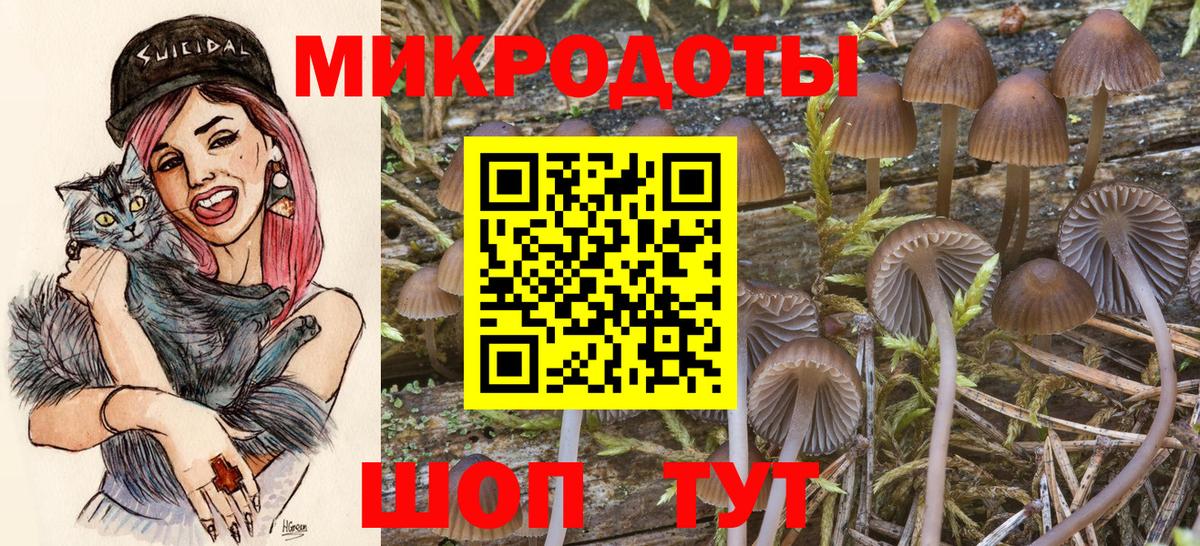 Галлюциногенные грибы MAGIC MUSHROOMS  Галлюциногенные грибы ЛСД  Ростов-на-Дону  Вход с VPN 