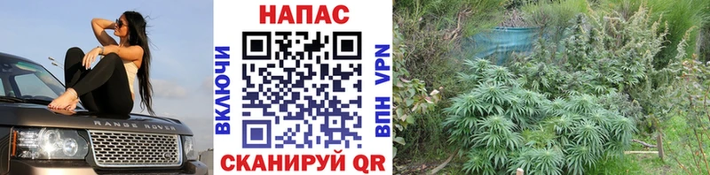 Каннабис THC 21%  Ростов-на-Дону 